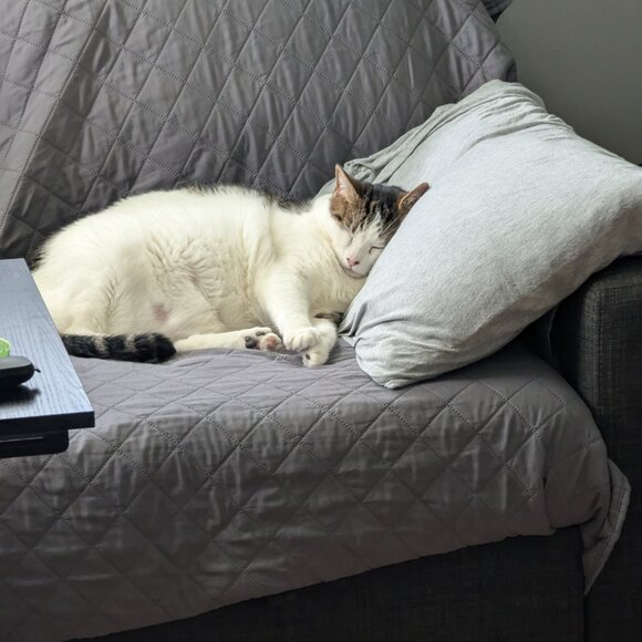 Don't Sleep On These Amazing Deals - Picture 6 of 7